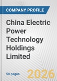 China Electric Power Technology Holdings Limited Fundamental Company Report Including Financial, SWOT, Competitors and Industry Analysis- Product Image