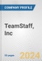 TeamStaff, Inc. Fundamental Company Report Including Financial, SWOT, Competitors and Industry Analysis - Product Thumbnail Image