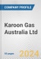 Karoon Gas Australia Ltd. Fundamental Company Report Including Financial, SWOT, Competitors and Industry Analysis - Product Thumbnail Image