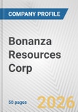 Bonanza Resources Corp. Fundamental Company Report Including Financial, SWOT, Competitors and Industry Analysis- Product Image