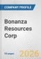 Bonanza Resources Corp. Fundamental Company Report Including Financial, SWOT, Competitors and Industry Analysis - Product Thumbnail Image