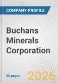 Buchans Minerals Corporation Fundamental Company Report Including Financial, SWOT, Competitors and Industry Analysis- Product Image