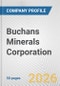 Buchans Minerals Corporation Fundamental Company Report Including Financial, SWOT, Competitors and Industry Analysis - Product Thumbnail Image
