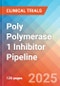 Poly (ADP-Ribose) Polymerase 1 (PARP) Inhibitor - Pipeline Insight, 2024 - Product Image