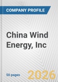 China Wind Energy, Inc. Fundamental Company Report Including Financial, SWOT, Competitors and Industry Analysis- Product Image