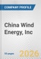 China Wind Energy, Inc. Fundamental Company Report Including Financial, SWOT, Competitors and Industry Analysis - Product Thumbnail Image
