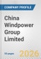 China Windpower Group Limited Fundamental Company Report Including Financial, SWOT, Competitors and Industry Analysis - Product Thumbnail Image