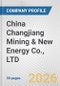 China Changjiang Mining & New Energy Co., LTD. Fundamental Company Report Including Financial, SWOT, Competitors and Industry Analysis - Product Thumbnail Image