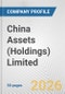 China Assets (Holdings) Limited Fundamental Company Report Including Financial, SWOT, Competitors and Industry Analysis - Product Thumbnail Image