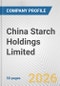 China Starch Holdings Limited Fundamental Company Report Including Financial, SWOT, Competitors and Industry Analysis - Product Thumbnail Image