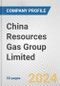 China Resources Gas Group Limited. Fundamental Company Report Including Financial, SWOT, Competitors and Industry Analysis - Product Thumbnail Image