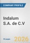 Indalum S.A. de C.V Fundamental Company Report Including Financial, SWOT, Competitors and Industry Analysis - Product Thumbnail Image