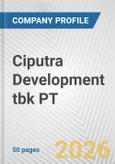 Ciputra Development tbk PT Fundamental Company Report Including Financial, SWOT, Competitors and Industry Analysis- Product Image