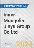 Inner Mongolia Jinyu Group Co Ltd Fundamental Company Report Including Financial, SWOT, Competitors and Industry Analysis- Product Image
