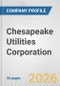 Chesapeake Utilities Corporation Fundamental Company Report Including Financial, SWOT, Competitors and Industry Analysis - Product Thumbnail Image