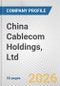 China Cablecom Holdings, Ltd. Fundamental Company Report Including Financial, SWOT, Competitors and Industry Analysis - Product Thumbnail Image