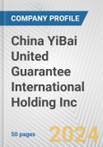 China YiBai United Guarantee International Holding Inc. Fundamental Company Report Including Financial, SWOT, Competitors and Industry Analysis- Product Image
