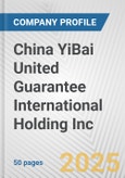 China YiBai United Guarantee International Holding Inc. Fundamental Company Report Including Financial, SWOT, Competitors and Industry Analysis- Product Image