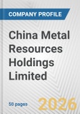 China Metal Resources Holdings Limited Fundamental Company Report Including Financial, SWOT, Competitors and Industry Analysis- Product Image