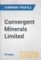 Convergent Minerals Limited Fundamental Company Report Including Financial, SWOT, Competitors and Industry Analysis - Product Thumbnail Image