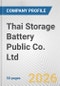 Thai Storage Battery Public Co. Ltd. Fundamental Company Report Including Financial, SWOT, Competitors and Industry Analysis - Product Thumbnail Image