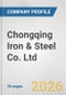 Chongqing Iron & Steel Co. Ltd. Fundamental Company Report Including Financial, SWOT, Competitors and Industry Analysis - Product Thumbnail Image