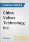 China Valves Technology, Inc. Fundamental Company Report Including Financial, SWOT, Competitors and Industry Analysis - Product Thumbnail Image