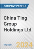 China Ting Group Holdings Ltd Fundamental Company Report Including Financial, SWOT, Competitors and Industry Analysis- Product Image