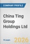 China Ting Group Holdings Ltd Fundamental Company Report Including Financial, SWOT, Competitors and Industry Analysis - Product Thumbnail Image