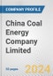 China Coal Energy Company Limited Fundamental Company Report Including Financial, SWOT, Competitors and Industry Analysis - Product Thumbnail Image
