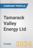 Tamarack Valley Energy Ltd Fundamental Company Report Including Financial, SWOT, Competitors and Industry Analysis- Product Image
