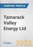 Tamarack Valley Energy Ltd Fundamental Company Report Including Financial, SWOT, Competitors and Industry Analysis- Product Image