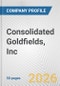 Consolidated Goldfields, Inc. Fundamental Company Report Including Financial, SWOT, Competitors and Industry Analysis - Product Thumbnail Image
