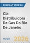 Cia Distribuidora De Gas Do Rio De Janeiro Fundamental Company Report Including Financial, SWOT, Competitors and Industry Analysis - Product Thumbnail Image
