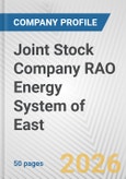 Joint Stock Company RAO Energy System of East Fundamental Company Report Including Financial, SWOT, Competitors and Industry Analysis- Product Image