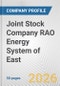 Joint Stock Company RAO Energy System of East Fundamental Company Report Including Financial, SWOT, Competitors and Industry Analysis - Product Thumbnail Image