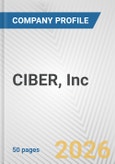CIBER, Inc. Fundamental Company Report Including Financial, SWOT, Competitors and Industry Analysis- Product Image