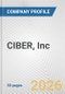 CIBER, Inc. Fundamental Company Report Including Financial, SWOT, Competitors and Industry Analysis - Product Thumbnail Image