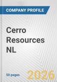 Cerro Resources NL Fundamental Company Report Including Financial, SWOT, Competitors and Industry Analysis- Product Image