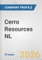 Cerro Resources NL Fundamental Company Report Including Financial, SWOT, Competitors and Industry Analysis - Product Thumbnail Image