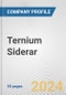 Ternium Siderar Fundamental Company Report Including Financial, SWOT, Competitors and Industry Analysis - Product Thumbnail Image