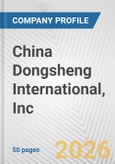 China Dongsheng International, Inc. Fundamental Company Report Including Financial, SWOT, Competitors and Industry Analysis- Product Image