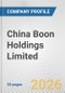 China Boon Holdings Limited Fundamental Company Report Including Financial, SWOT, Competitors and Industry Analysis - Product Thumbnail Image