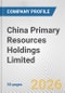China Primary Resources Holdings Limited Fundamental Company Report Including Financial, SWOT, Competitors and Industry Analysis - Product Thumbnail Image