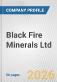 Black Fire Minerals Ltd Fundamental Company Report Including Financial, SWOT, Competitors and Industry Analysis- Product Image