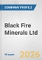 Black Fire Minerals Ltd Fundamental Company Report Including Financial, SWOT, Competitors and Industry Analysis - Product Thumbnail Image