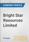 Bright Star Resources Limited Fundamental Company Report Including Financial, SWOT, Competitors and Industry Analysis - Product Thumbnail Image