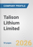 Talison Lithium Limited Fundamental Company Report Including Financial, SWOT, Competitors and Industry Analysis- Product Image