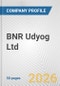 BNR Udyog Ltd. Fundamental Company Report Including Financial, SWOT, Competitors and Industry Analysis - Product Thumbnail Image
