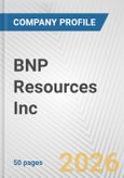 BNP Resources Inc Fundamental Company Report Including Financial, SWOT, Competitors and Industry Analysis- Product Image